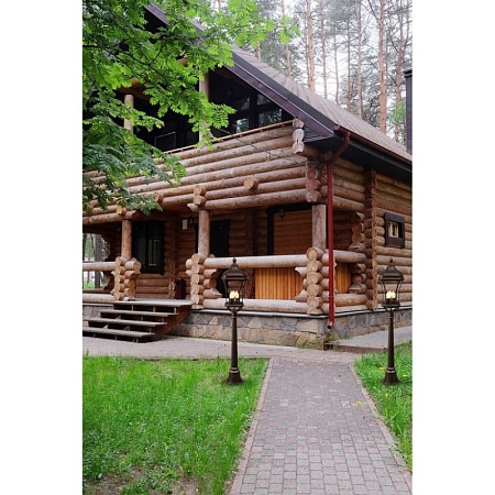 Уличный светильник  шато Chiaro  800040203 - фото