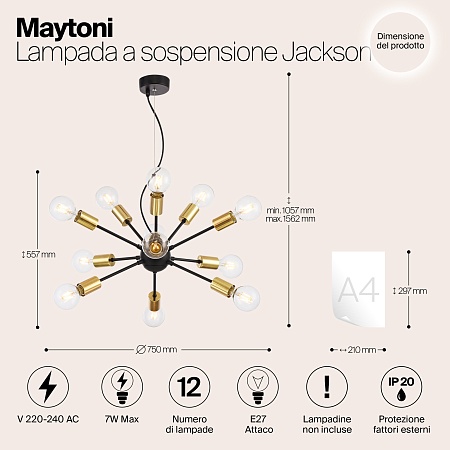 Подвесной светильник Maytoni Jackson T546PL-12B - фото