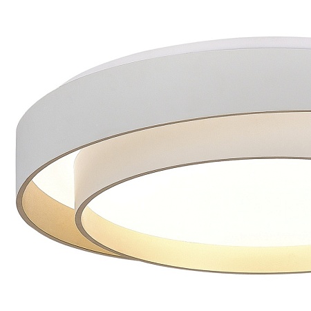 Светильник потолочный Белый/Белый LED 1*50W 3000K/4000K/6000K SLE6009-502-01 - фото