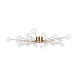 Потолочный светильник Freya Celebrity FR5242CL-24BS1 - фото