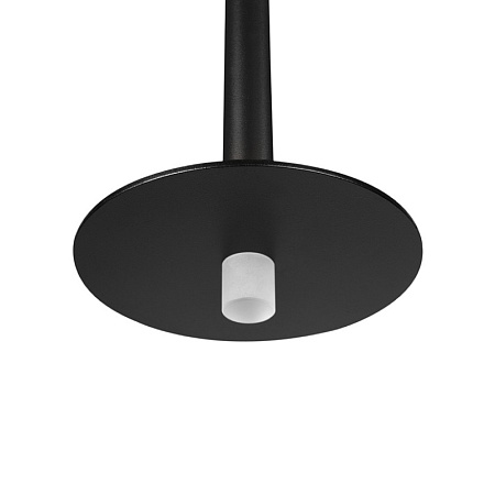 10358/830 Disk Подвесной светильник LOFT IT Reed - фото