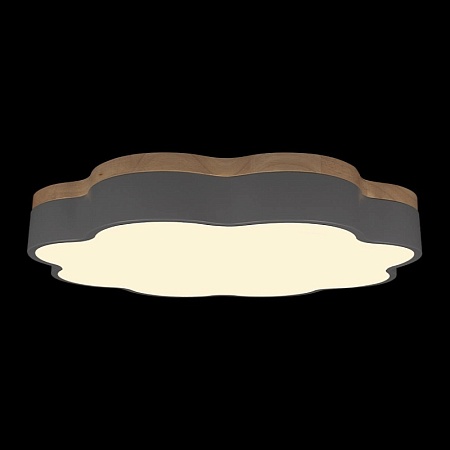 10225/36 Grey Потолочный светильник LOFT IT Axel - фото