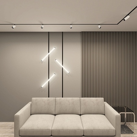 Светильник на шине Denkirs SMART SPOT DK8040-BW+BK - фото