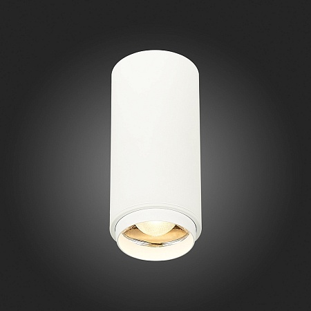Светильник потолочный Zoom Белый LED 1*10W 3000K 1 000Lm Ra>80 15-60° IP20 D59xH130 170 ST600.532.10 - фото