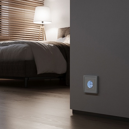 Розетка с подсветкой (белый матовый) W1171461 - фото