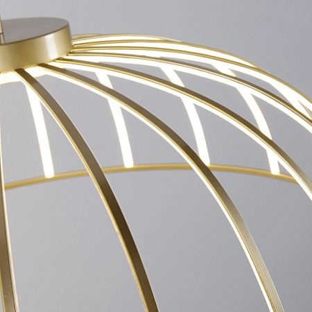 Подвесная люстра Favourite 4286-6P - фото