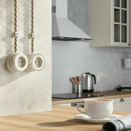 Розетка с заземлением Vintage слоновая кость матовый/хром W5871055 - фото