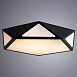 Потолочный светильник Arte Lamp MULTI-PIAZZA A1931PL-1BK - фото