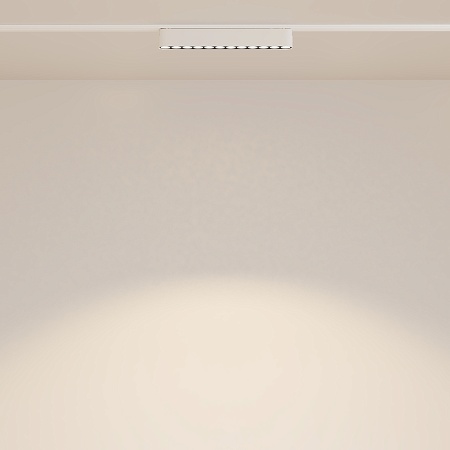 Трековый светильник Technical Points  TR082-1-12W3K-M-W - фото