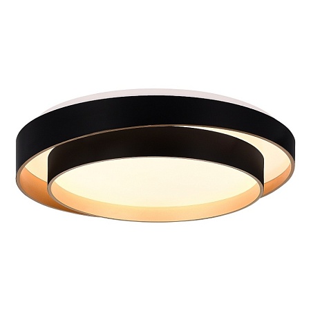 Светильник потолочный Черный/Белый LED 1*50W 3000K/4000K/6000K SLE6009-402-01 - фото