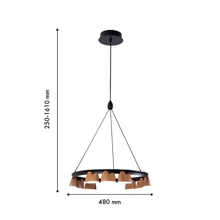 Подвесная люстра Favourite 4266-9P - фото