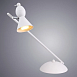 Декоративная настольная лампа Arte Lamp PICCHIO A9229LT-1CC - фото