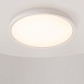 Потолочный светильник Maytoni MOD426CL-L43WK - фото