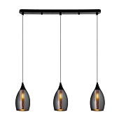 Подвесной светильник Arte Lamp BARRY A7951SP-3BK