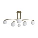 Потолочный светильник Freya Hanger FR5443CL-06BS - фото