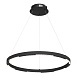 Светильник подвесной ST-Luce черный/черный LED 1*32W 4000K SL6238.433.01 - фото