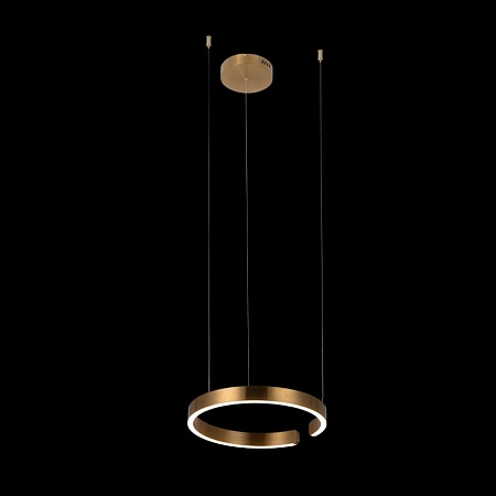 10013S Подвесной светильник LOFT IT Ring - фото