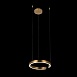 10013S Подвесной светильник LOFT IT Ring - фото
