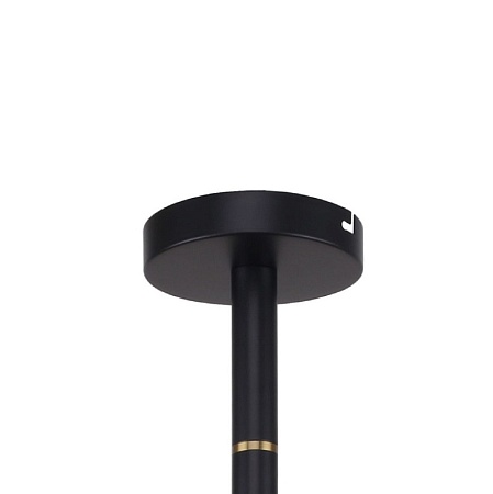 Потолочная люстра Favourite 2766-12P - фото