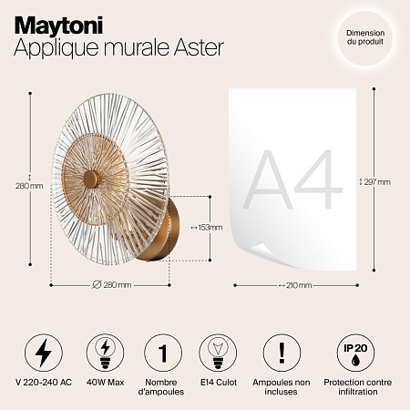 Настенный светильник (бра) Maytoni Aster MOD007WL-01G - фото