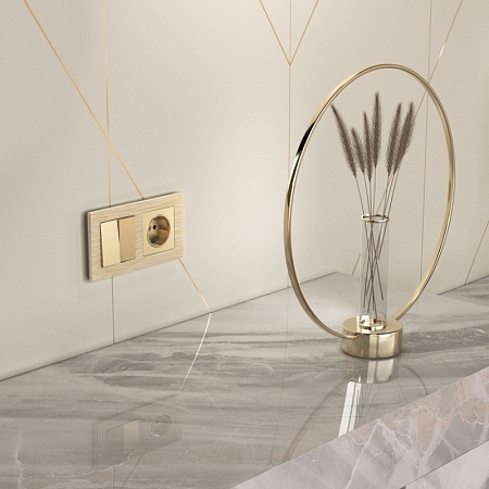 Выключатель двухклавишный шампань WL11-SW-2G - фото