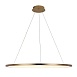 10014XL Подвесной светильник LOFT IT Ring - фото