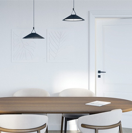 Светильник на шине Denkirs BELTY FLOW DK5565-BK - фото