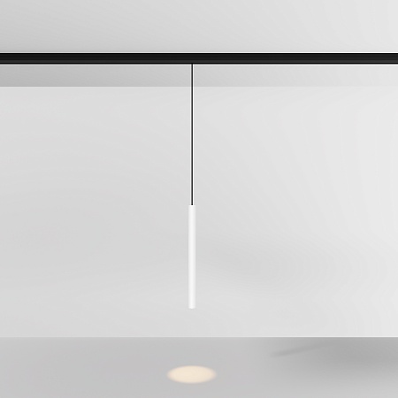 Трековый светильник Technical TR226-4-5WTW-M-DD2-W - фото