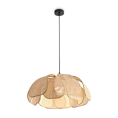 Подвесной светильник Freya FR5529PL-01B - фото