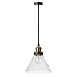 LOFT1123 Подвесной светильник LOFT IT Factory filament - фото