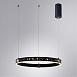 Подвесная люстра Arte Lamp SHINE A2222SP-1BK - фото