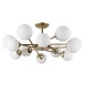 Потолочная люстра ARTE LAMP A2703PL-12SG - фото