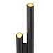 Светильник настенный ST-Luce Черный/Черный, Золотистый LED 4*3W 3000K SL6210.401.04 - фото