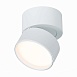 Светильник потолочный поворотный Белый LED 1*9W 3000K 720Lm Ra>90 120° IP20 D85xH87 170 ST651.532.09 - фото