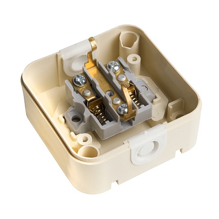 Розетка 1-местная с/з, с крышкой, STEKKER, PST16-21-44 (RA 16-211-БЖ), пластик АВС, 250В, 16А, IP44, слоновая кость (RA 16-211-С) - фото