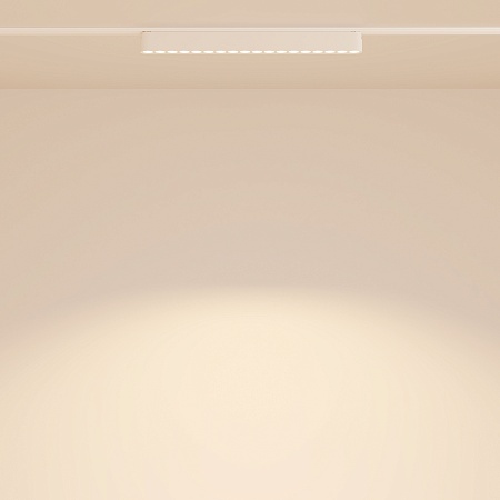 Трековый светильник Technical Points  TR082-1-18W3K-M-W - фото