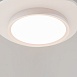 Потолочный светильник Maytoni MOD426CL-L32WK - фото