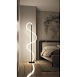 Торшер Arte Lamp KLIMT A2850PN-35BK - фото