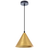 Подвесной светильник Arte Lamp DAVID A7033SP-1BK