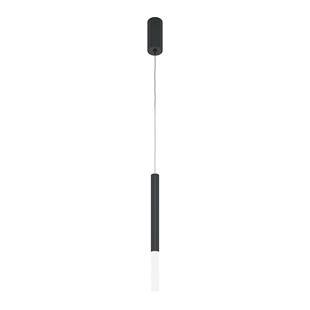 Подвесной светильник Maytoni Pro Shade MOD157PL-L6BK - фото