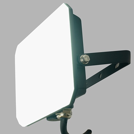 Светодиодный прожектор Feron LL-941 IP65 30W 6400K - фото