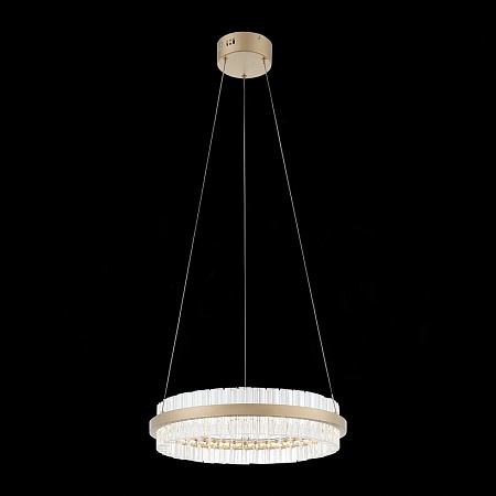 Светильник подвесной ST-Luce Золотистый/Золотистый, Прозрачный LED 1*34W 3000K SL383.203.01 - фото