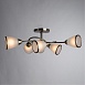 Потолочная люстра ARTE LAMP A6059PL-6AB - фото