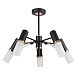 Потолочная люстра F-Promo 2558-5P - фото