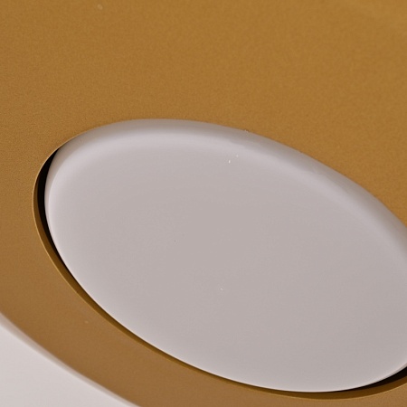 Подвесной Светильник Rask D50 Imperiumloft 309065-26 - фото