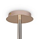 Потолочный светильник Freya Mineral FR1010CL-08G - фото