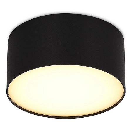 Светильник потолочный Черный LED 1*12W 3000K 1 080Lm Ra>85 120° IP20 D120xH55 185-265V ST606.432.12 - фото