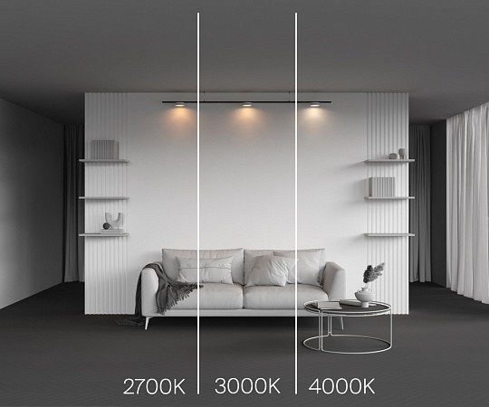 Трековый светильник Technical Zon TR189-1-12W3K-BW - фото