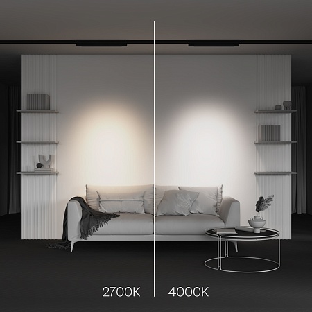 Трековый светильник Technical Points  TR195-3-20W2.7K-M-B - фото