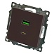 Розетка 2-местная USB + type C, STEKKER GLS10-7116-04, 250В, 3А, max 20W,серия Катрин, шоколад - фото